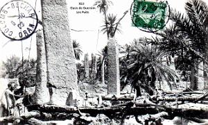 Igli - Oasis de Guersim - Les Puits - 1903